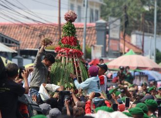 Warga Berebut Gunungan Hasil Panen, Gunungan Bawang Merah Delapan Meter Catatan Rekor ORI