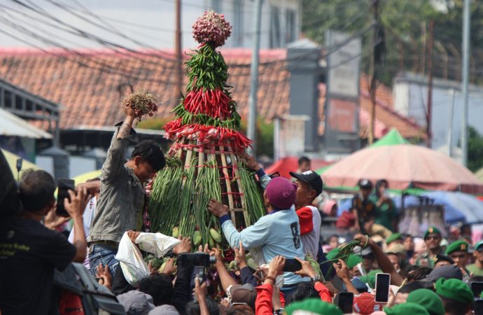Warga Berebut Gunungan Hasil Panen, Gunungan Bawang Merah Delapan Meter Catatan Rekor ORI